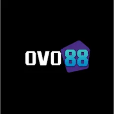 OVO88 - Petualangan Seru dalam Dunia Action